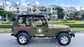 Jeep Wrangler 1996 - Nhập Mỹ, số sàn 2 cầu hàng hiếm. Xe giấy tờ zin, có máy lạnh, bao không hao xăng, chạy 100km/10 lít