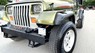 Jeep Wrangler 1996 - Nhập Mỹ, số sàn 2 cầu hàng hiếm. Xe giấy tờ zin, có máy lạnh, bao không hao xăng, chạy 100km/10 lít