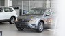 Volkswagen Tiguan 2022 - Xám Platinum, nội thất xám