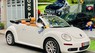 Volkswagen New Beetle 2005 - Màu trắng, xe nhập số tự động