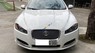 Jaguar XF 2012 - Màu trắng Ngọc Trinh