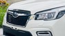 Subaru Forester 2019 - Màu trắng, giá hữu nghị