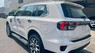 Ford Everest 2.0L Bi Turbo 4x4 AT 2023 - Bán ô tô Ford Everest 2.0L Bi Turbo 4x4 AT 2023, màu trắng, xe nhập