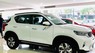 Kia Sonet 2022 - [Kia Nha Trang] Kia Sonet 2022, thuế trước bạ giảm 50% đến hết tháng 05/2022