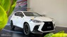 Lexus NX 350 2022 - Bảo dưỡng/bảo hành miễn phí trong 3 năm - Chính hãng showroom, xe giao ngay