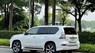 Lexus GX 460 2015 - Màu trắng, nhập khẩu