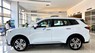 Ford Territory 2022 - Xe giao ngay tháng 11