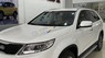 Kia Sorento 2016 - Màu trắng xe gia đình