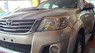 Toyota Hilux 2012 - Màu bạc, nhập khẩu