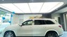 Mercedes-Maybach GLS 480 2022 - Màu trắng/Nội thất đen