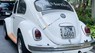 Volkswagen Beetle 2022 - Volkswagen Beetle 2022