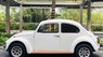 Volkswagen Beetle 2022 - Volkswagen Beetle 2022