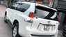 Toyota Land Cruiser Bán xe 2010 - Bán xe