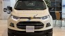 Ford EcoSport 2015 - Xe màu trắng