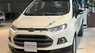 Ford EcoSport 2015 - Xe màu trắng