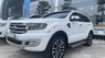 Ford Everest 2019 - Xe cá nhân - 1 đời chủ