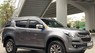 Chevrolet Trailblazer 2019 - Màu xám, 900tr