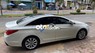 Hyundai Sonata   2.0 Y20 2010 - Hyundai Sonata 2.0 Y20