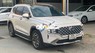 Hyundai Santa Fe  Santafe Premium 2.2AT 2021 2021 - Hyundai Santafe Premium 2.2AT 2021