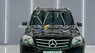 Mercedes-Benz GLK 300 2010 - Xe trang bị nội thất đen, ghế chỉnh điện