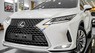 Lexus RX 300 2022 - Xe đẹp, bao check hãng toàn quốc