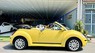 Volkswagen Beetle   Convertible Model 2008 2007 - Volkswagen Beetle Convertible Model 2008