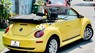 Volkswagen Beetle   Convertible Model 2008 2007 - Volkswagen Beetle Convertible Model 2008