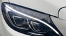 Mercedes-Benz C300 2016 - Xe màu trắng