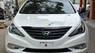 Hyundai Sonata 2013 - Xe cá nhân chính chủ Hà Nội