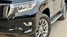 Toyota Land Cruiser Prado 2020 - Màu đen, nhập khẩu