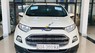 Ford EcoSport 2017 - Chính chủ, biển số tỉnh