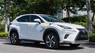 Lexus NX 300 2017 - Màu trắng, xe nhập số tự động