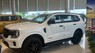 Ford Everest 2023 - Giá xe tốt nhất năm, liên hệ hotline ngay để nhận quà khủng T3/4