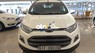 Ford EcoSport  2016 1 chủ từ đầu đi 57.800km biển SG 2016 - Ecosport 2016 1 chủ từ đầu đi 57.800km biển SG