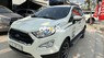 Ford EcoSport  Siêu Cọp Màu Trắng Giá Rất Hợp Lý 2018 - EcoSport Siêu Cọp Màu Trắng Giá Rất Hợp Lý