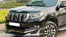 Toyota Land Cruiser Prado 2021 - Tên cá nhân