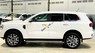 Ford Everest 2023 - Hỗ trợ vay 90% - Phiên bản đặc biệt, đủ màu - Giao ngay