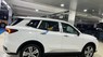 Ford Territory 2023 - Giảm ngay 75 triệu tiền mặt trong tháng