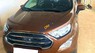 Ford EcoSport 2018 - Xe đi kỹ, Bảo dưỡng đầy đủ, Siêu đẹp