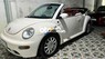 Volkswagen New Beetle   2005 bstp nhà sử dụng 2005 - volkswagen new beetle 2005 bstp nhà sử dụng