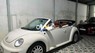 Volkswagen New Beetle   2005 bstp nhà sử dụng 2005 - volkswagen new beetle 2005 bstp nhà sử dụng