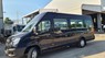 Thaco Iveco Daily Plus Iveco Dailyplus 2023 - Xe Bus Thaco Iveco 19c