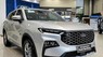 Ford Territory 2024 - Bán xe Ford Territory 2024