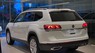 Volkswagen Teramont 2022 - Cần Bán xe Volkswagen Teramont 2.0 TSI – Xe mới 