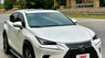 Lexus NX 300 2020 - Lexus NX300 - 2020 - 39.000 Km