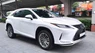 Lexus RX 300 2021 - Cần bán Lexus RX 300 đời 2021, màu trắng, nhập khẩu, giá cả thương lượng