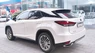 Lexus RX 300 2021 - Cần bán Lexus RX 300 đời 2021, màu trắng, nhập khẩu, giá cả thương lượng