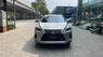 Lexus RX 300 2020 - Bán Lexus RX300, sản xuất 2020, màu Titan cực đep, xe 1 chủ.