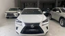 Lexus NX 300 2019 - Chính chủ bán Lexus NX300 mode 2019, sơn zin cả xe, full lịch sử hãng