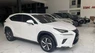 Lexus NX 300 2019 - Chính chủ bán Lexus NX300 mode 2019, sơn zin cả xe, full lịch sử hãng